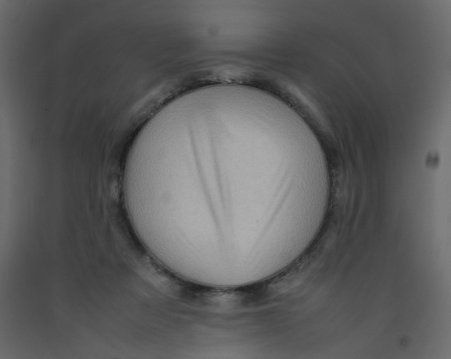 X0000092090313200710101106