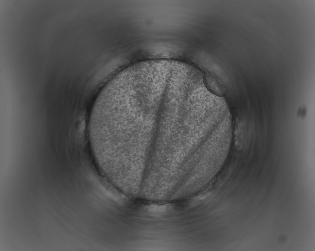 X0000092090314200710101106