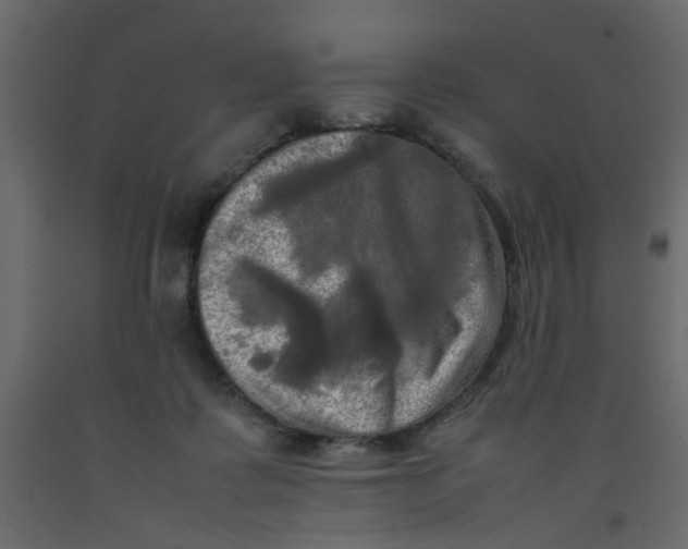 X0000092090315200710101106