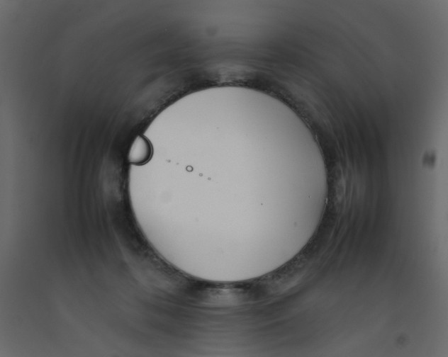 X0000092090316200710101106