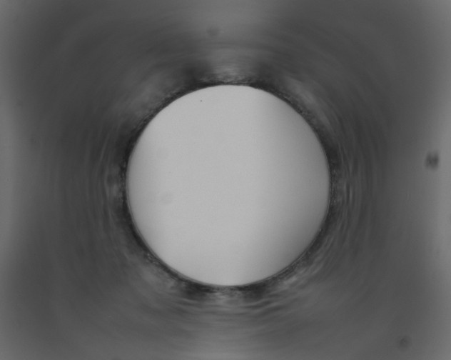 X0000092090317200710101106