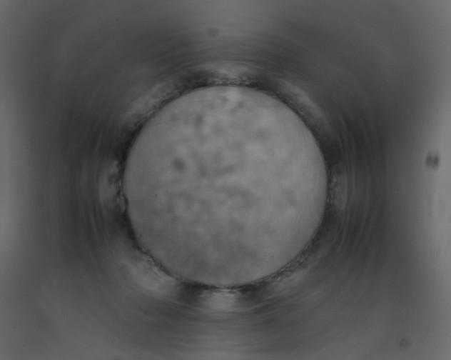 X0000092090318200710101106