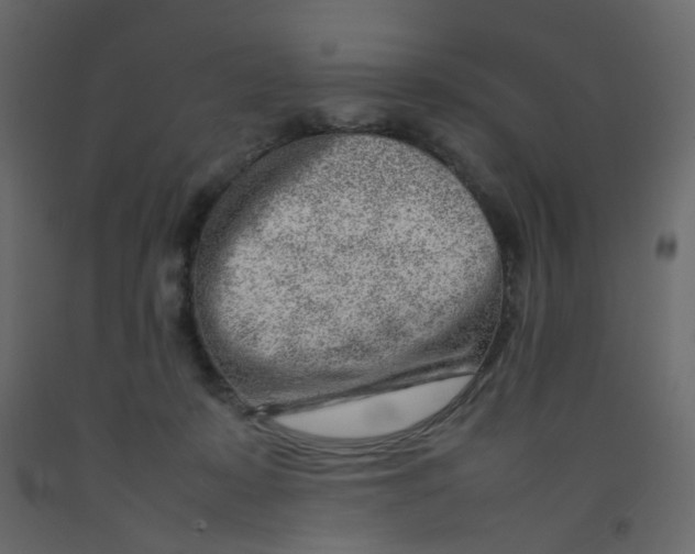 X0000092090319200710101106