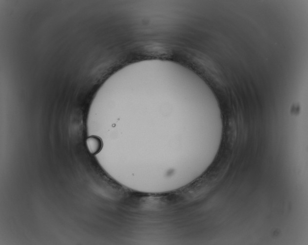 X0000092090320200710101106