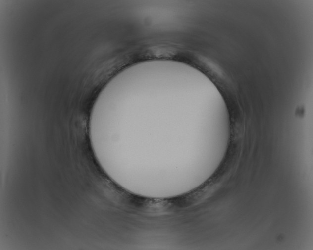 X0000092090321200710101106