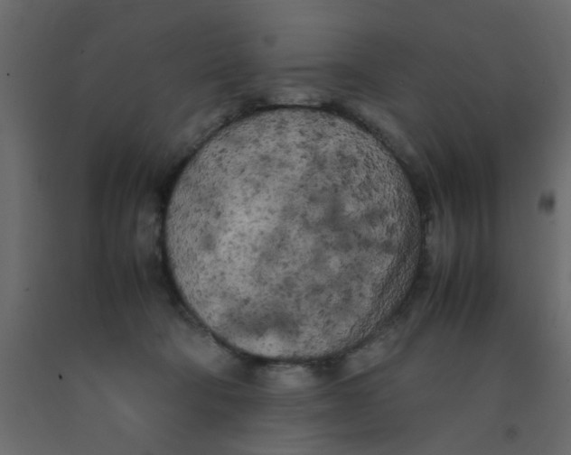X0000092090322200710101106