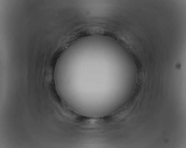 X0000092090323200710101106