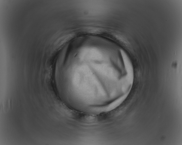 X0000092090325200710101106