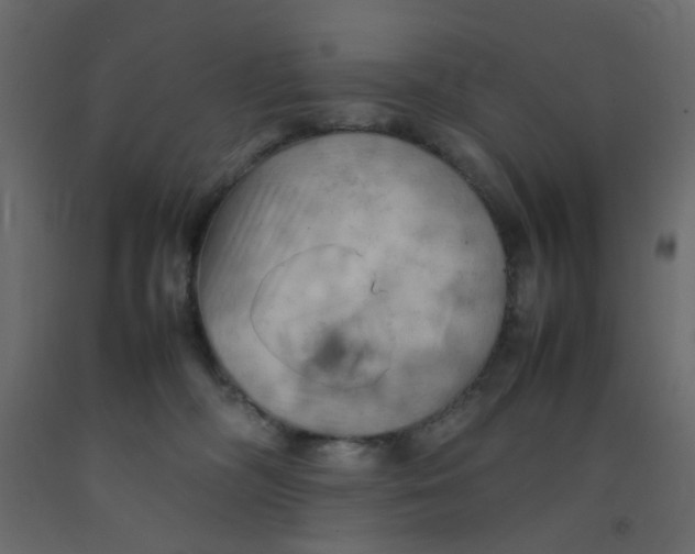 X0000092090326200710101106