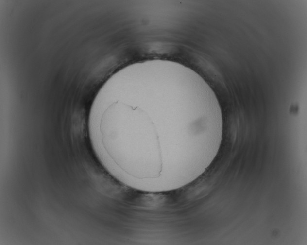 X0000092090328200710101106