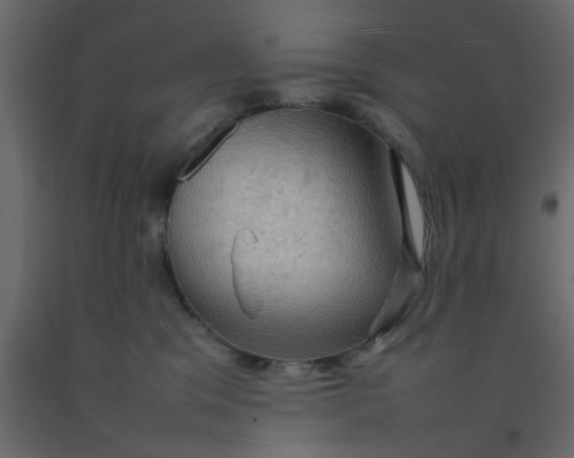X0000092090329200710101106