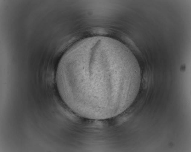 X0000092090330200710101106