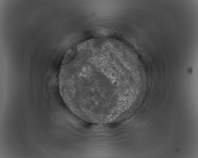 X0000092090331200710101106