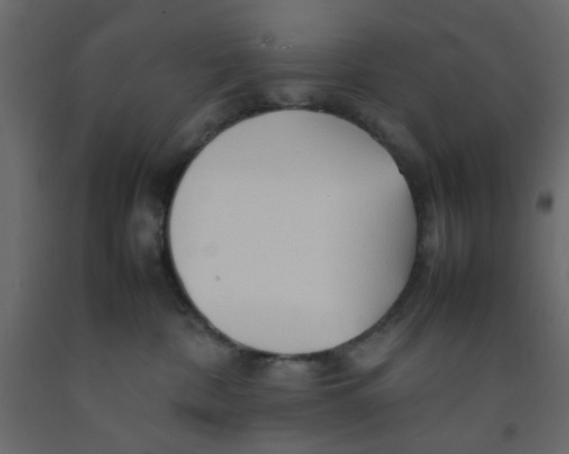 X0000092090332200710101106