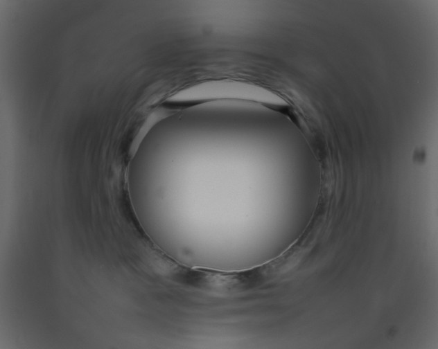 X0000092090333200710101106