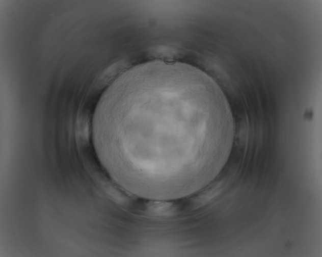X0000092090334200710101106