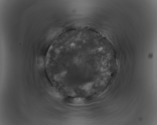 X0000092090335200710101106