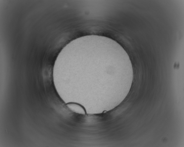 X0000092090336200710101106