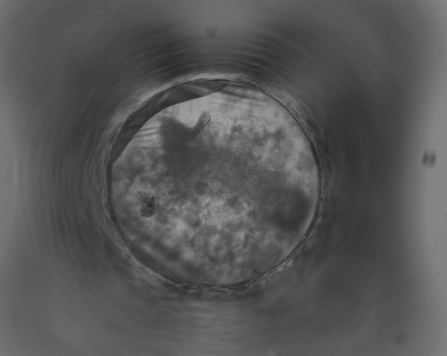 X0000092090337200710101105