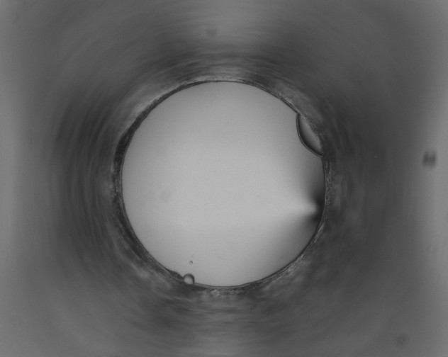X0000092090338200710101105