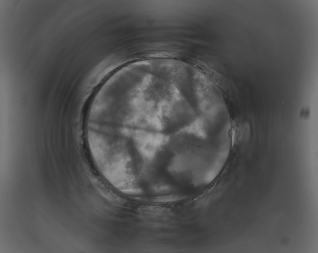 X0000092090339200710101105