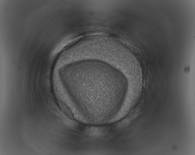 X0000092090341200710101105