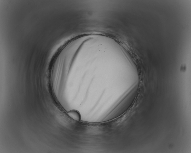X0000092090342200710101105