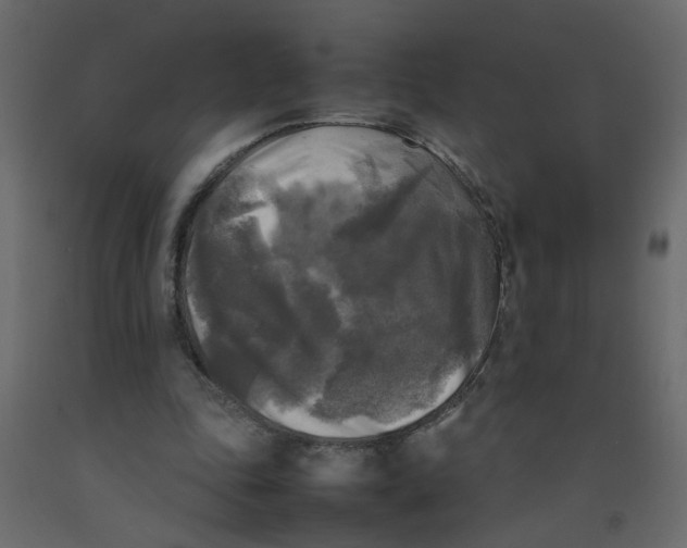 X0000092090343200710101105