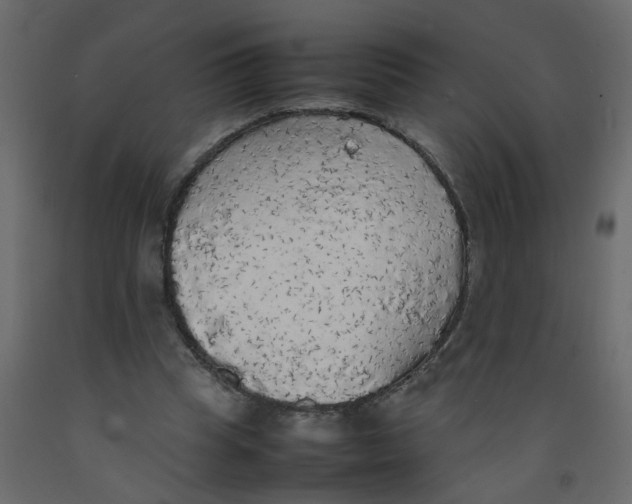X0000092090345200710101106