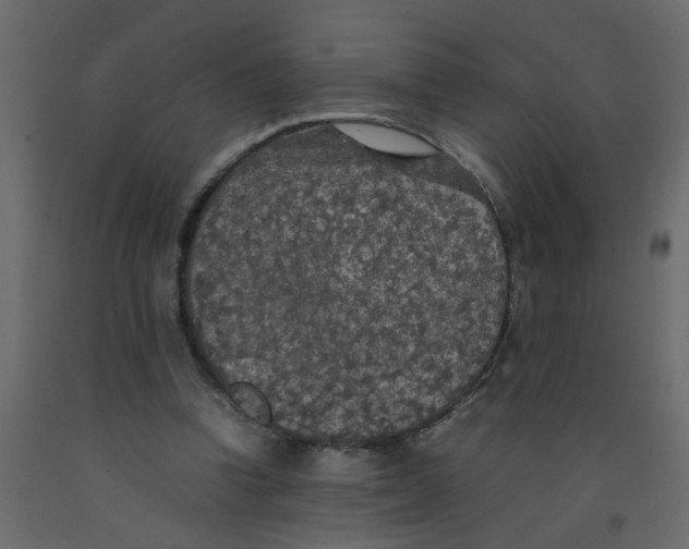X0000092090346200710101106