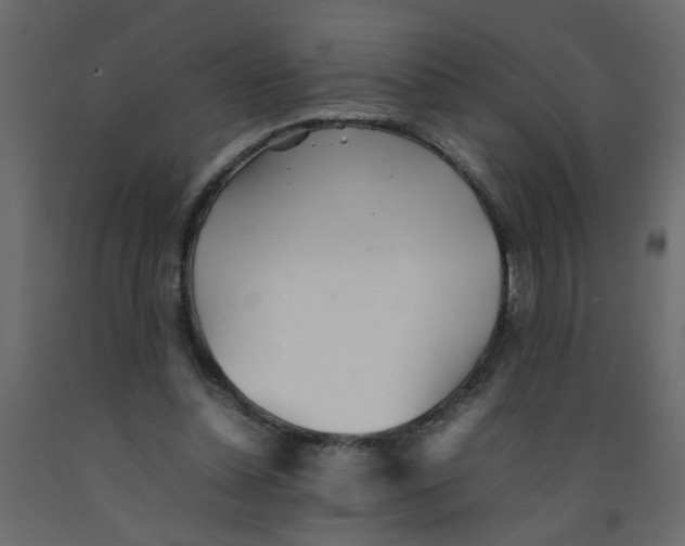X0000092090348200710101106