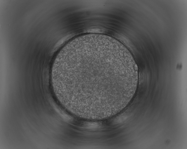 X0000092090349200710101106