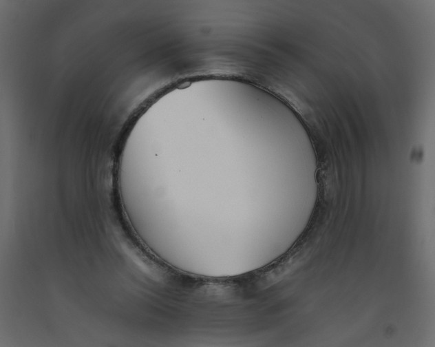 X0000092090350200710101106