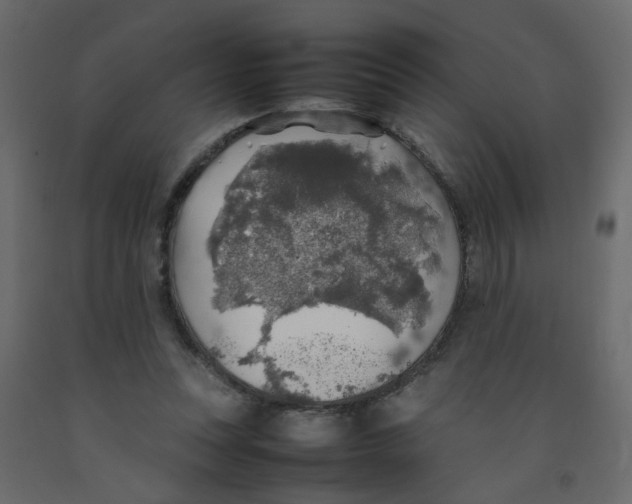 X0000092090351200710101106
