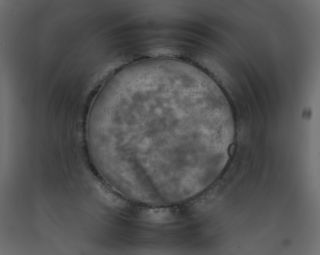 X0000092090353200710101106