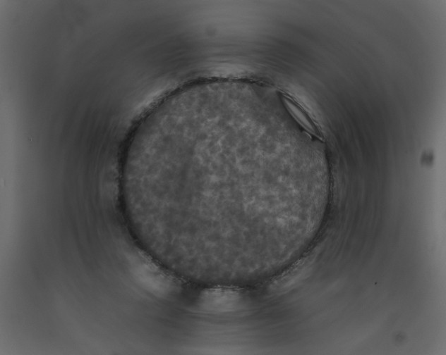 X0000092090354200710101106