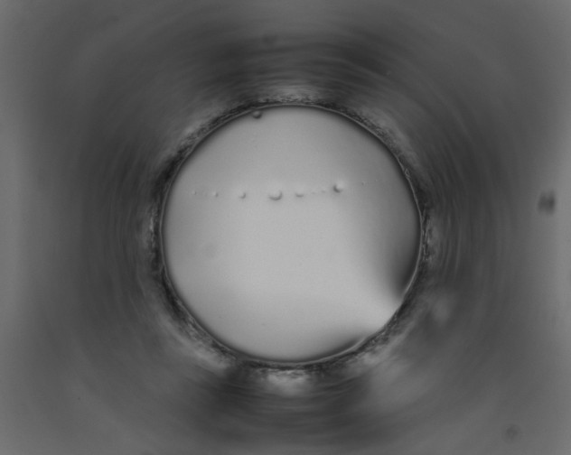 X0000092090355200710101106