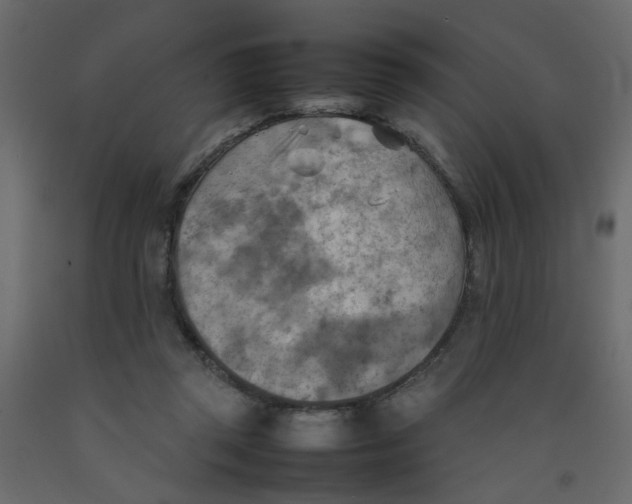 X0000092090357200710101106