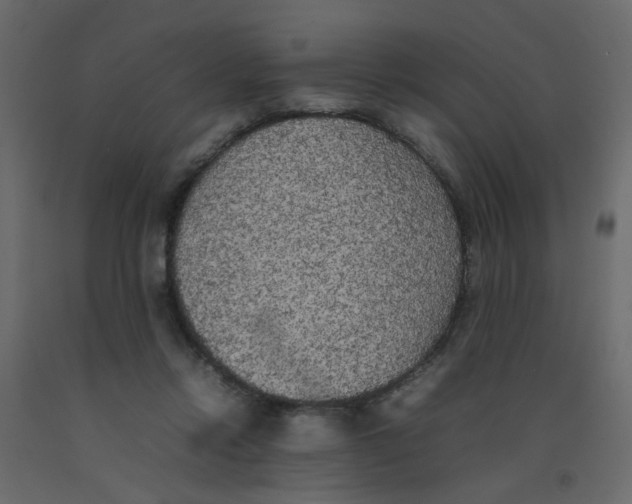 X0000092090358200710101106