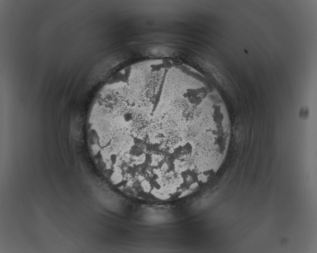 X0000092090359200710101106