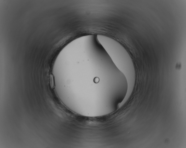 X0000092090360200710101106