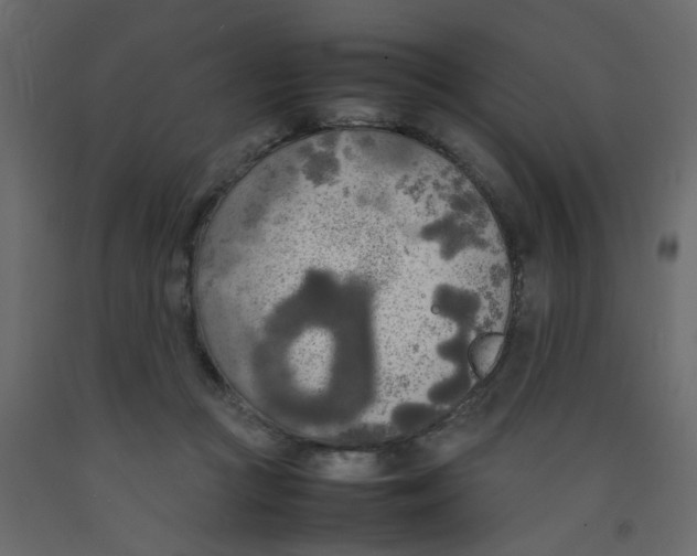 X0000092090361200710101106