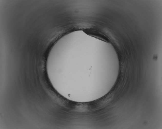 X0000092090362200710101106