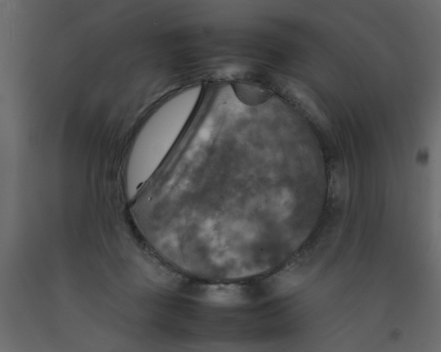 X0000092090363200710101106