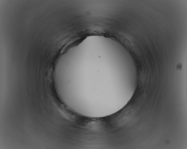 X0000092090364200710101106