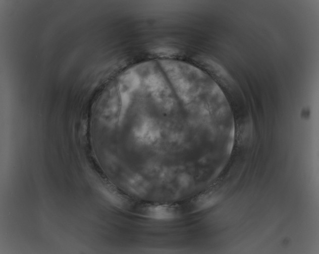 X0000092090365200710101106