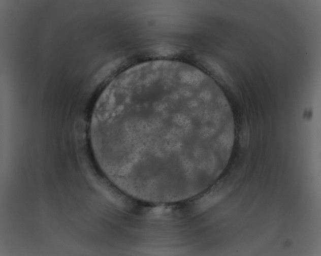 X0000092090366200710101106