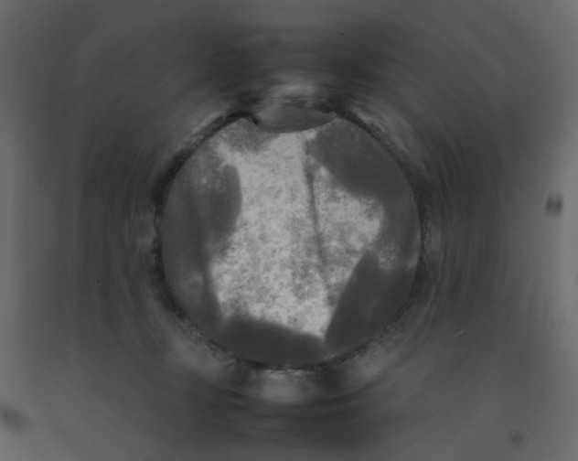 X0000092090367200710101106