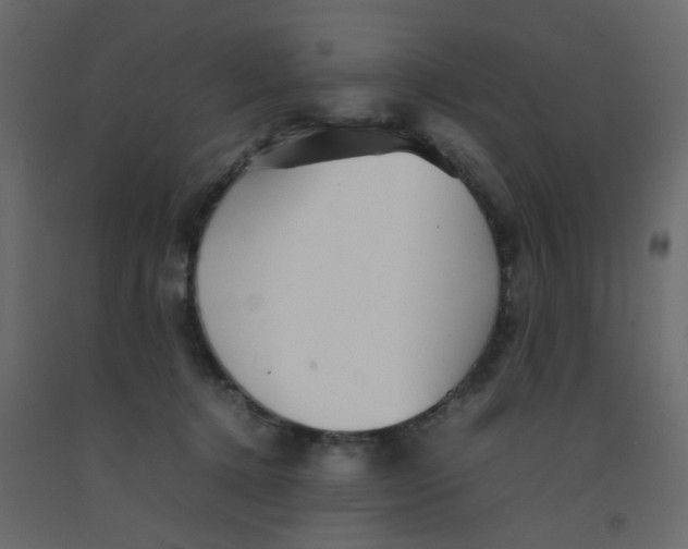 X0000092090368200710101106