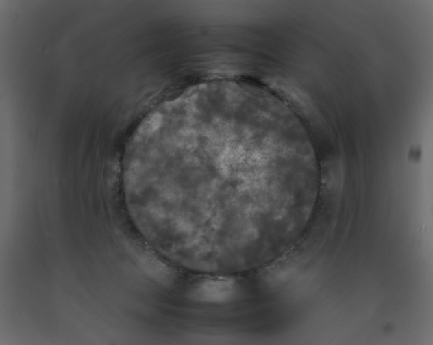 X0000092090369200710101106